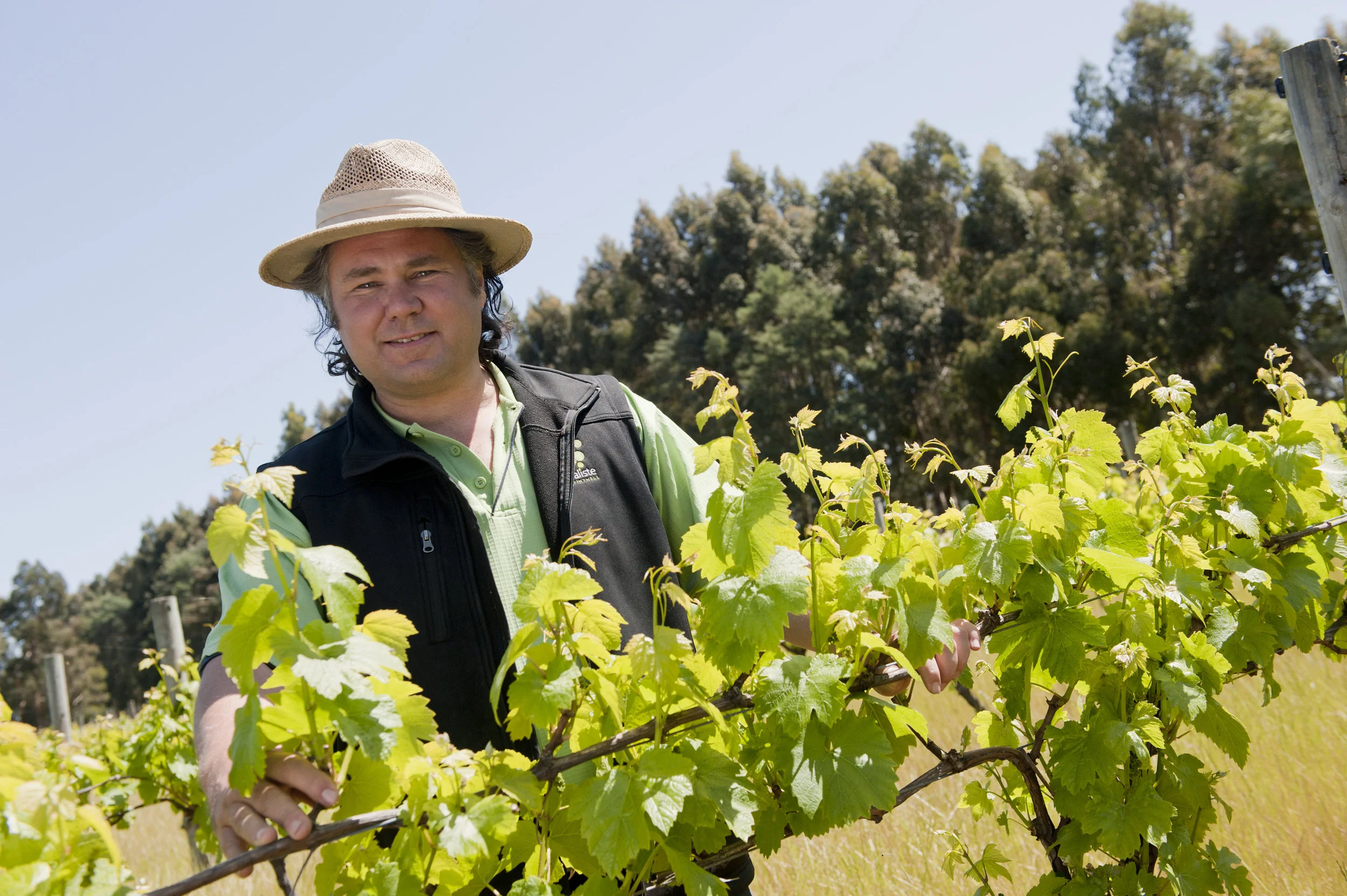A CHECKLIST FOR VITICULTURAL EXCELLENCE AND RISK MANAGEMENT