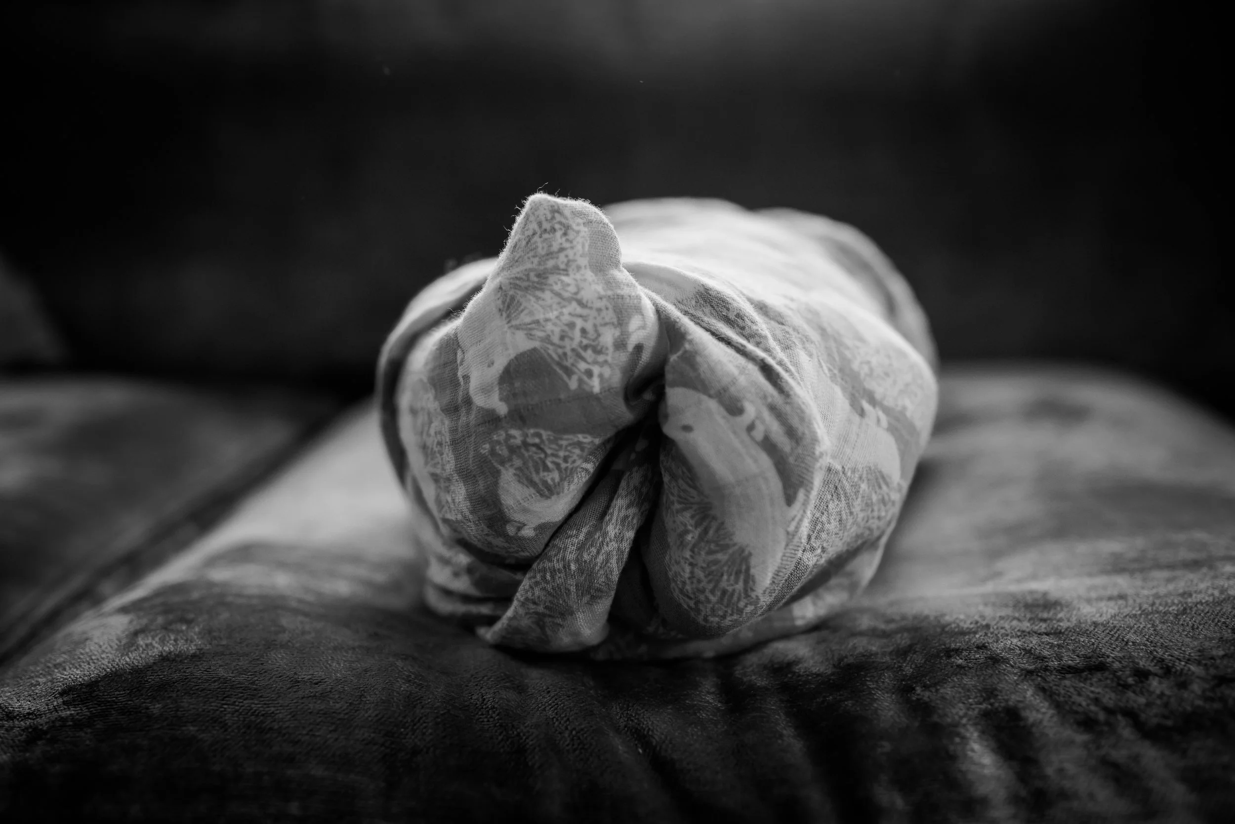 2016.03.18_babyviolet-0044.jpg