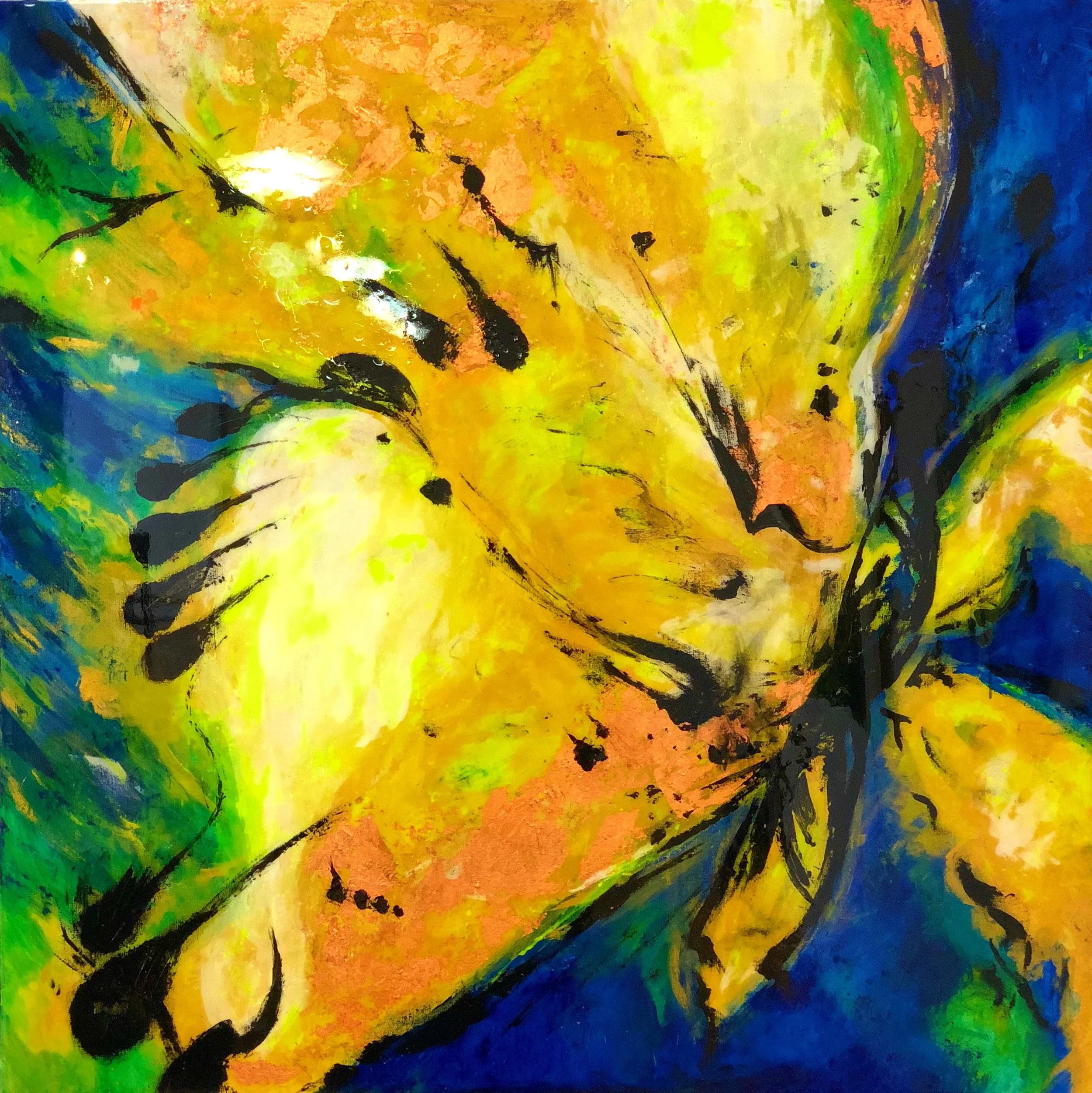 M.O.M - Moment of Metamorphosis