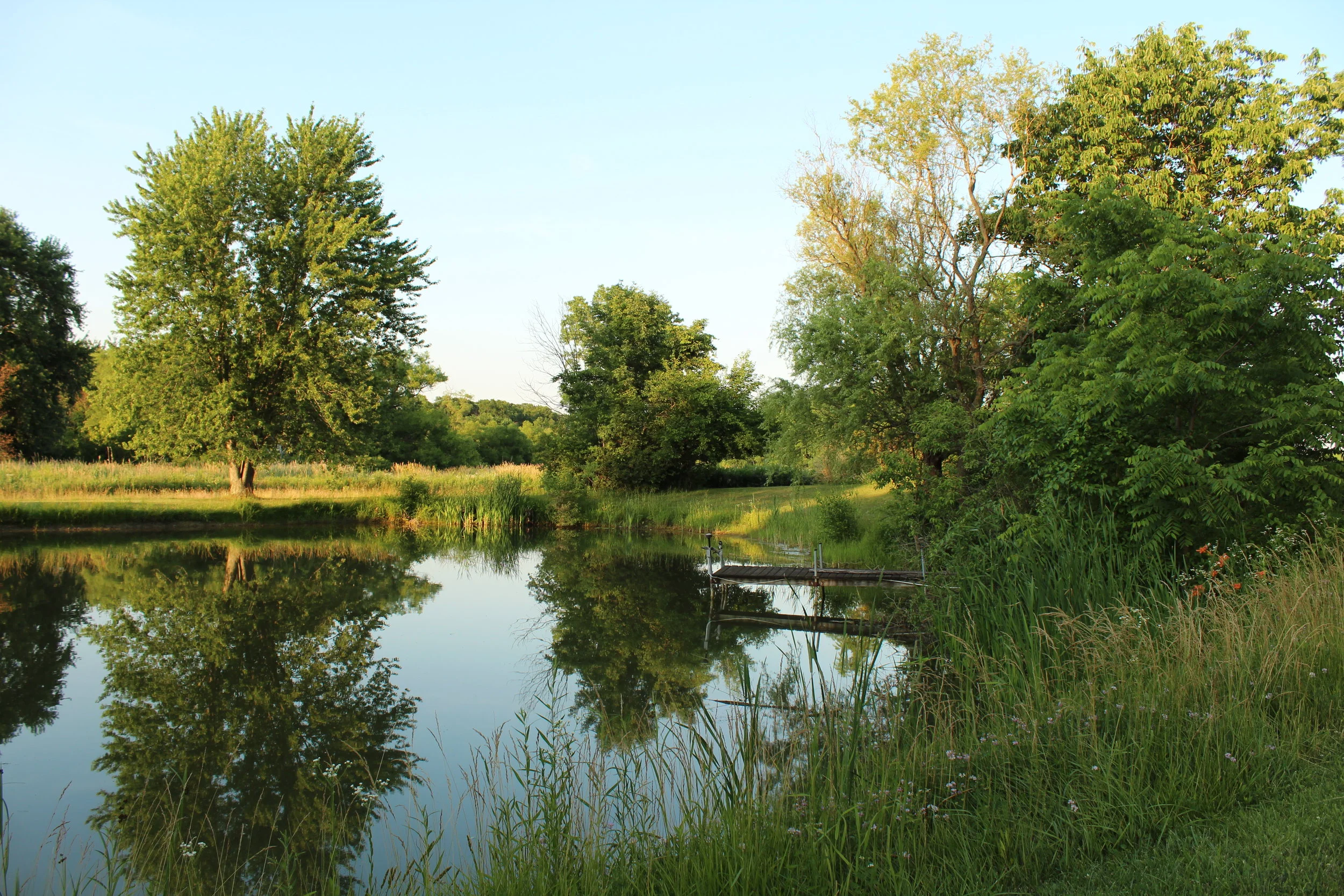 Small Pond at Brookdale.JPG