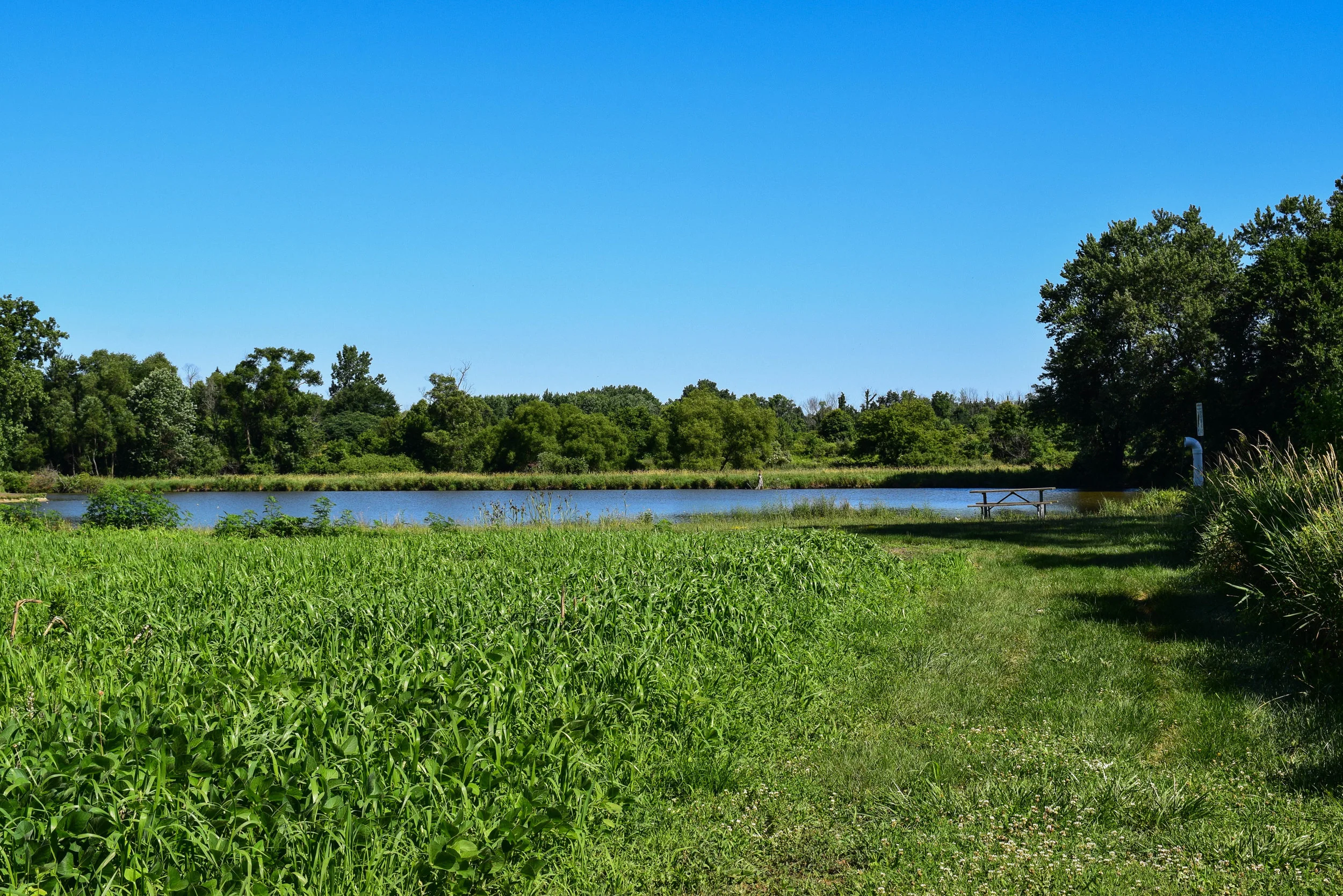 Brookdale Park-7.jpg