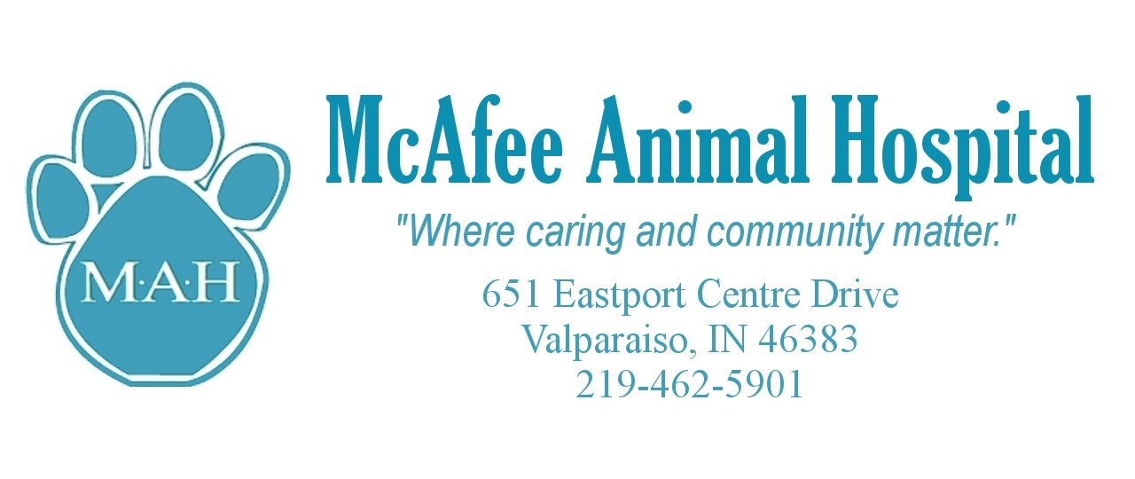 McAfee logo.jpg