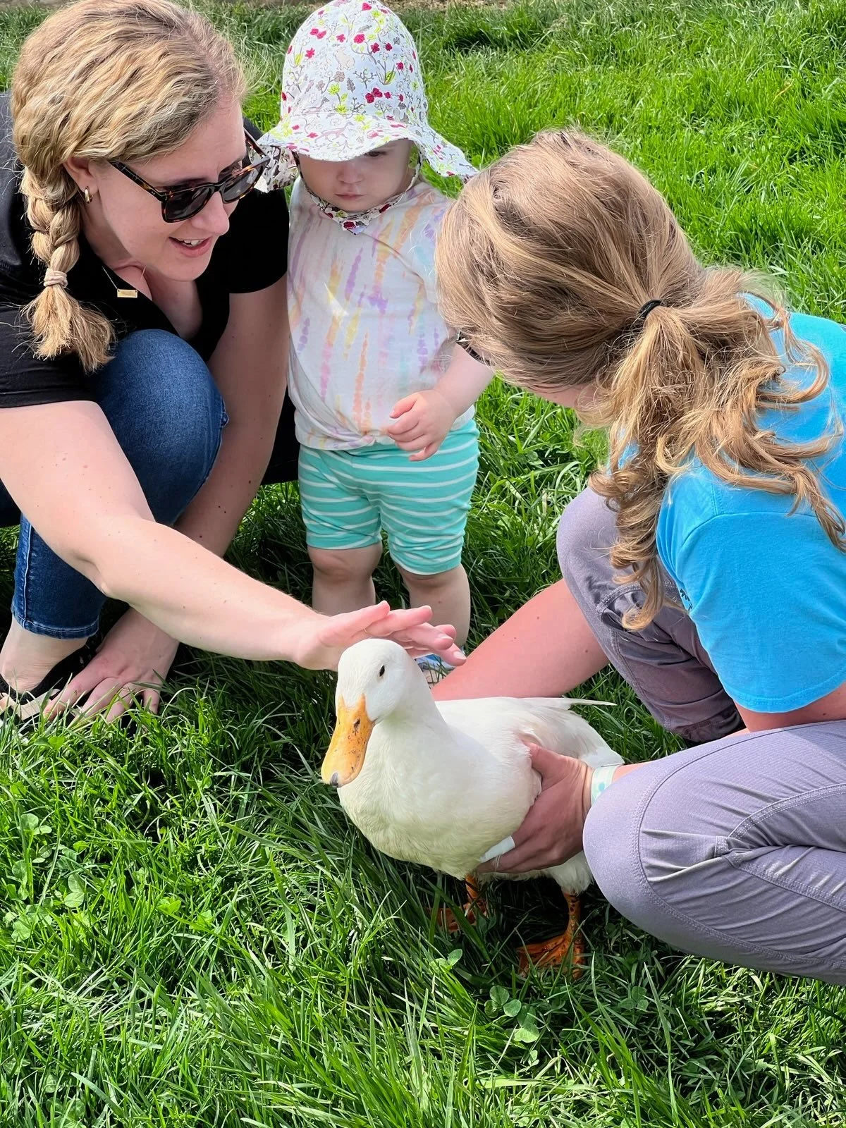 Farm Programs — Porter County Parks and Recreation Farm Programs — Porter County Parks and Recreation