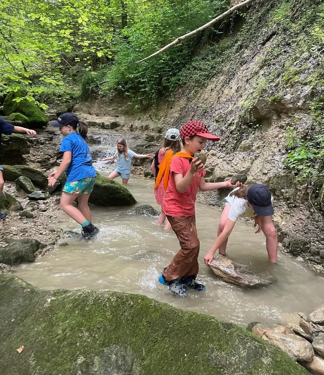 WhatsApp Image 2024-11-09 at 1.53.17 AM (6).jpeg