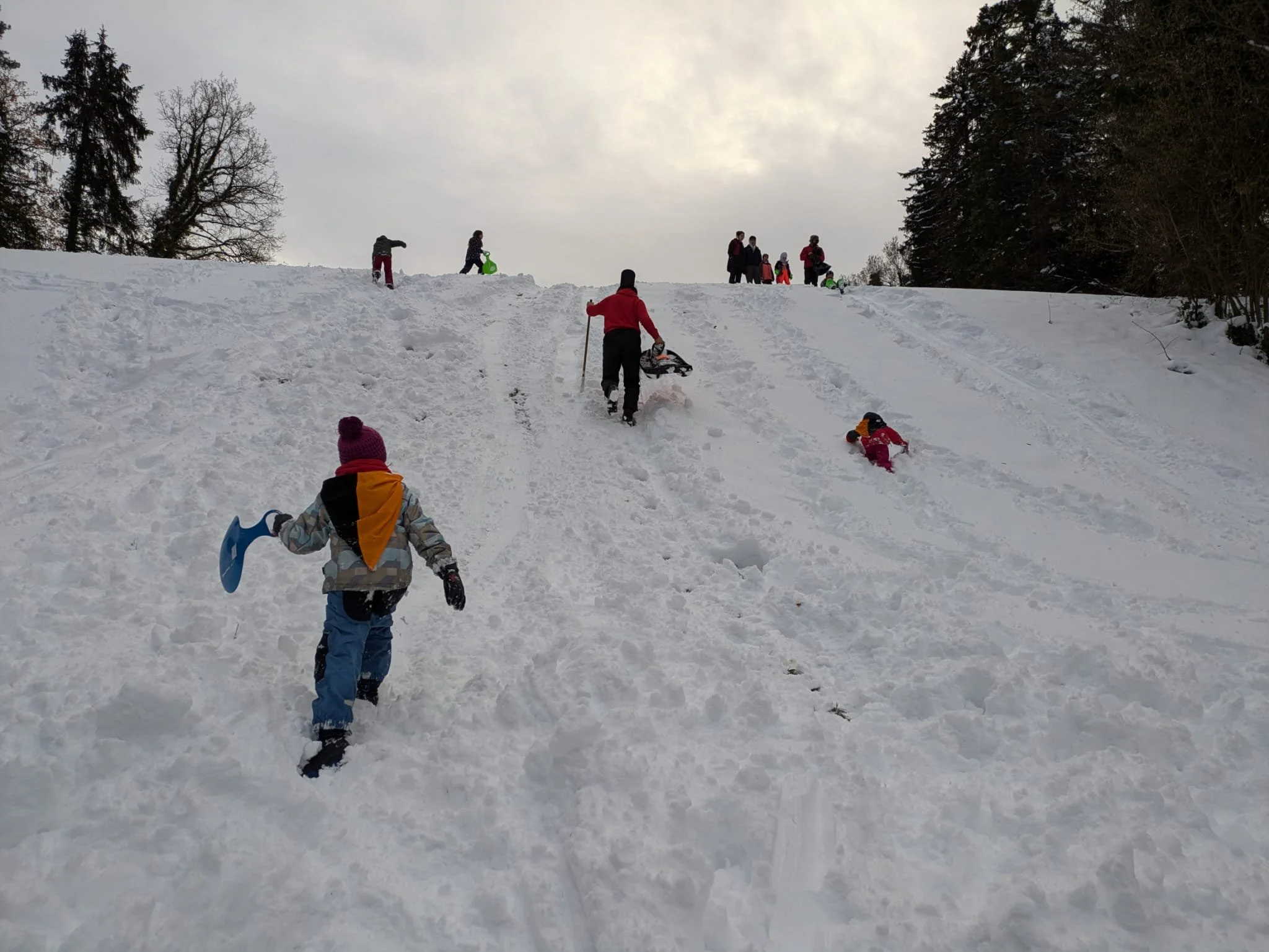 WhatsApp Image 2024-12-29 at 11.19.43 PM.jpeg