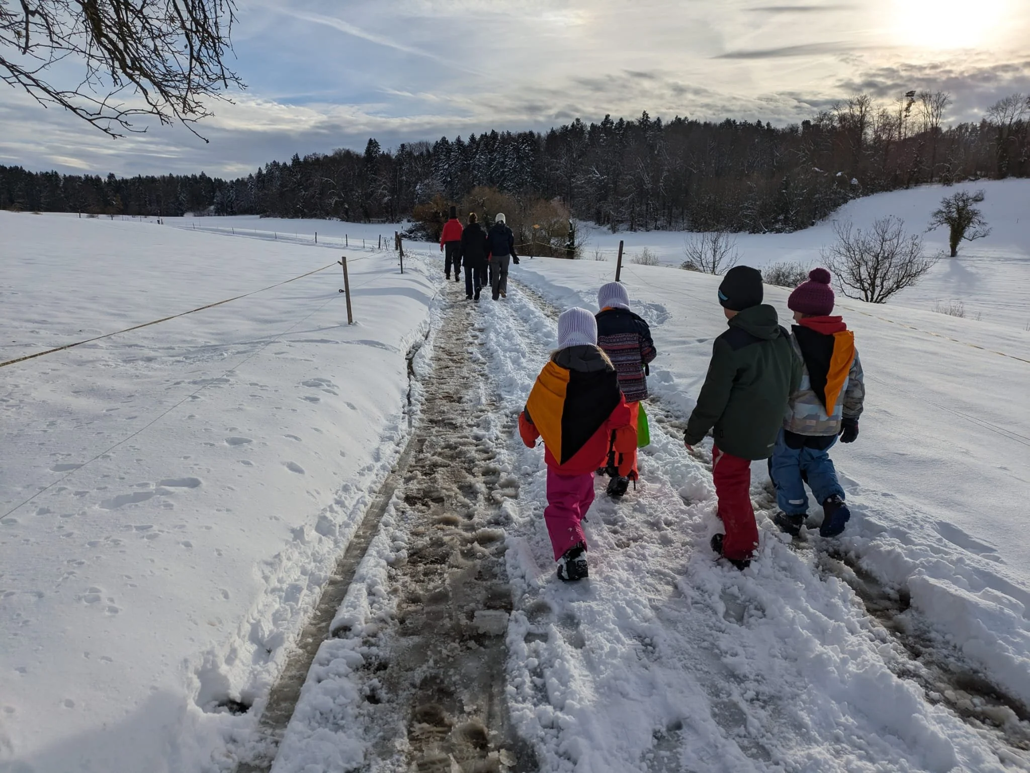 WhatsApp Image 2024-12-29 at 11.18.46 PM (1).jpeg