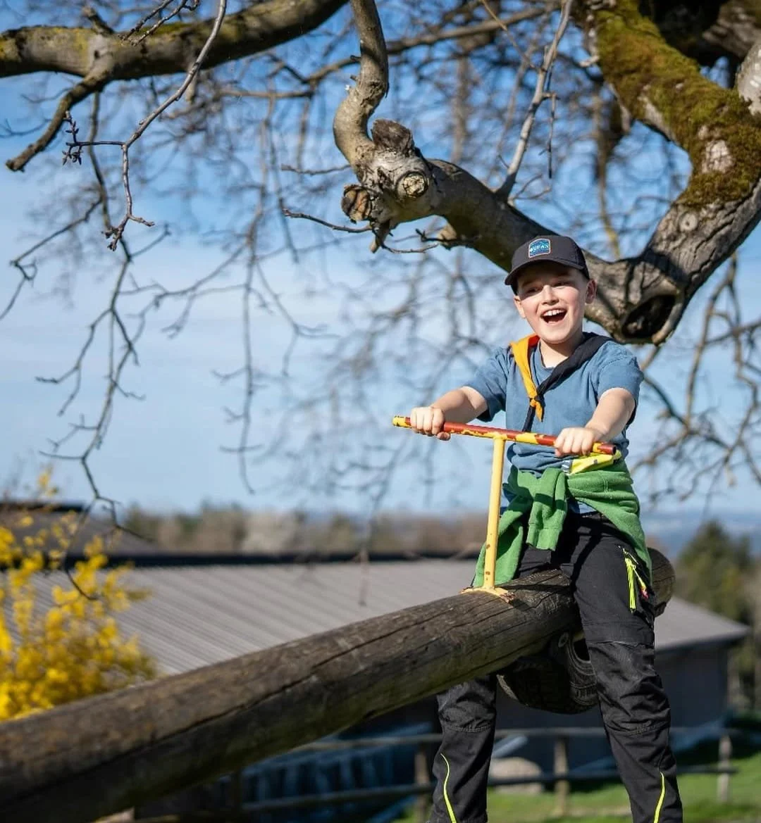 WhatsApp Image 2025-05-20 at 2.53.29 AM.jpeg