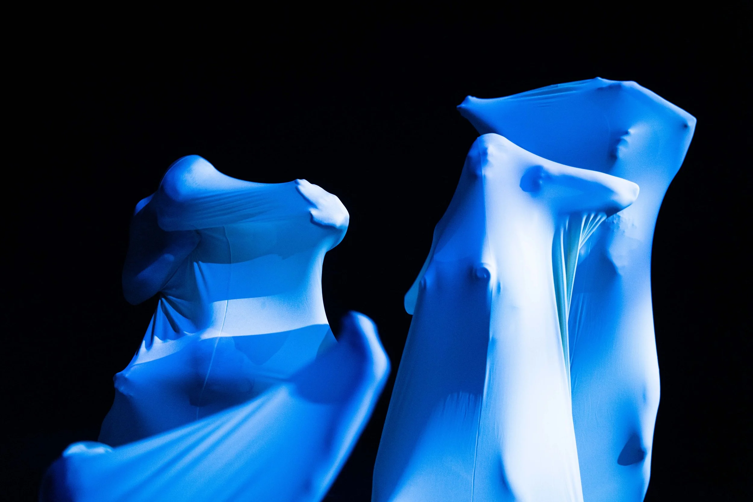 HRINGIR ORFEUSAR_RUN_WEB-83.jpg