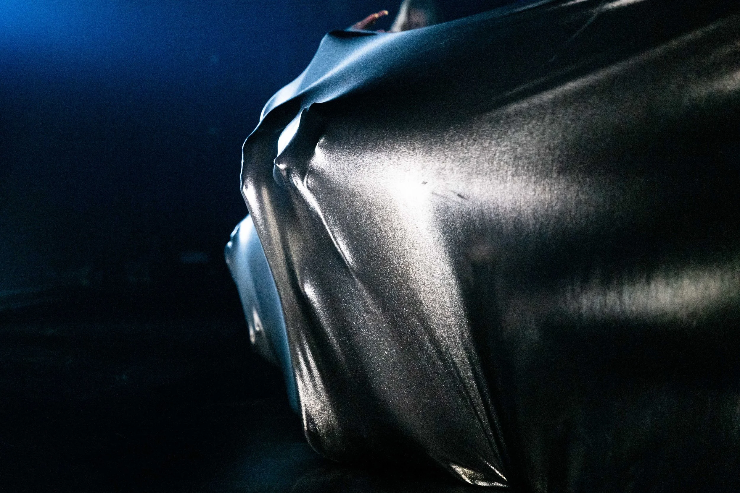 HRINGIR ORFEUSAR_PREVIEW_WEB-36.jpg