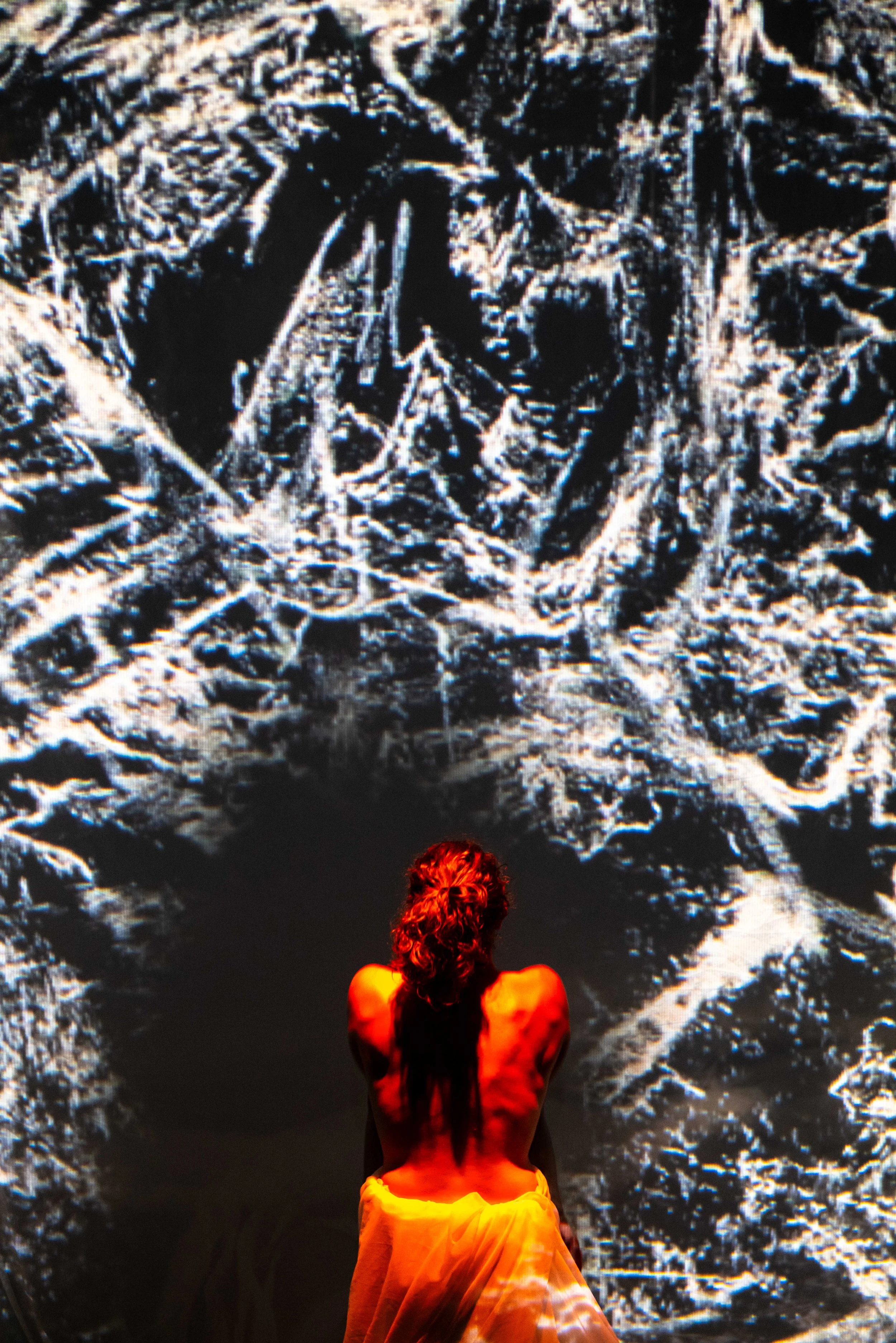 A woman with her back to the camera looking at a large black and white projection of a spider web.