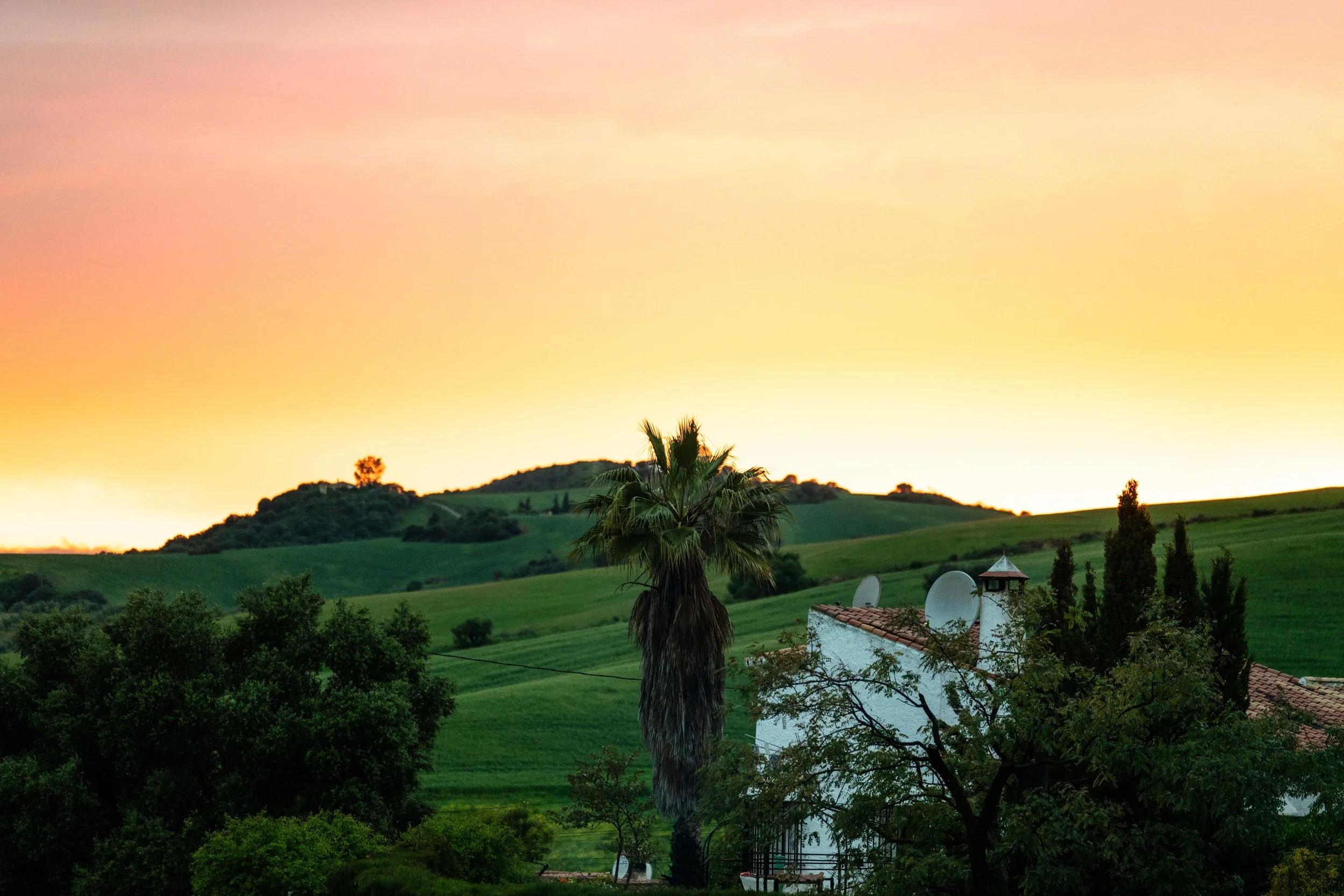 A sunset over green rolling hills with a palm tree, trees, and white houses with satellite dishes and red-tiled roofs.