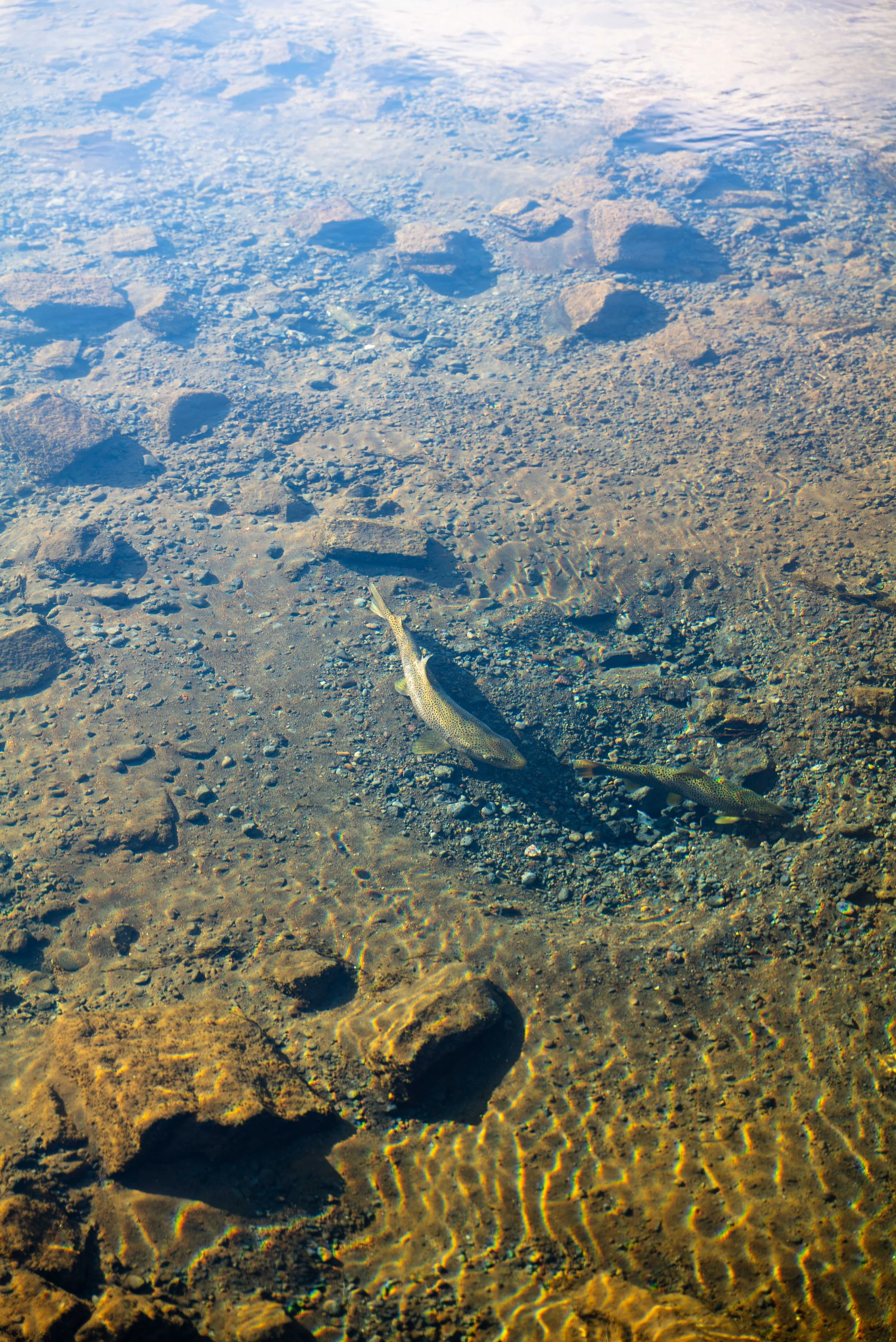 Day Tripping_WEB-3.jpg