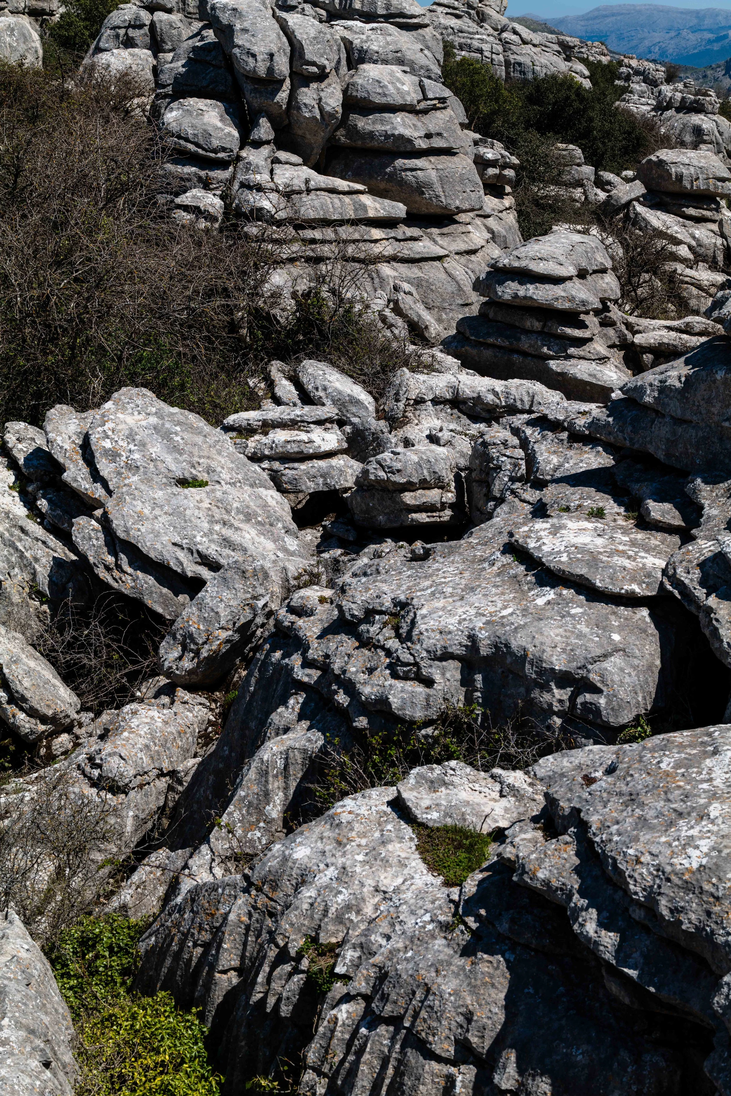 Rock formations with layered and jagged stones surrounded by sparse vegetation and bushes.