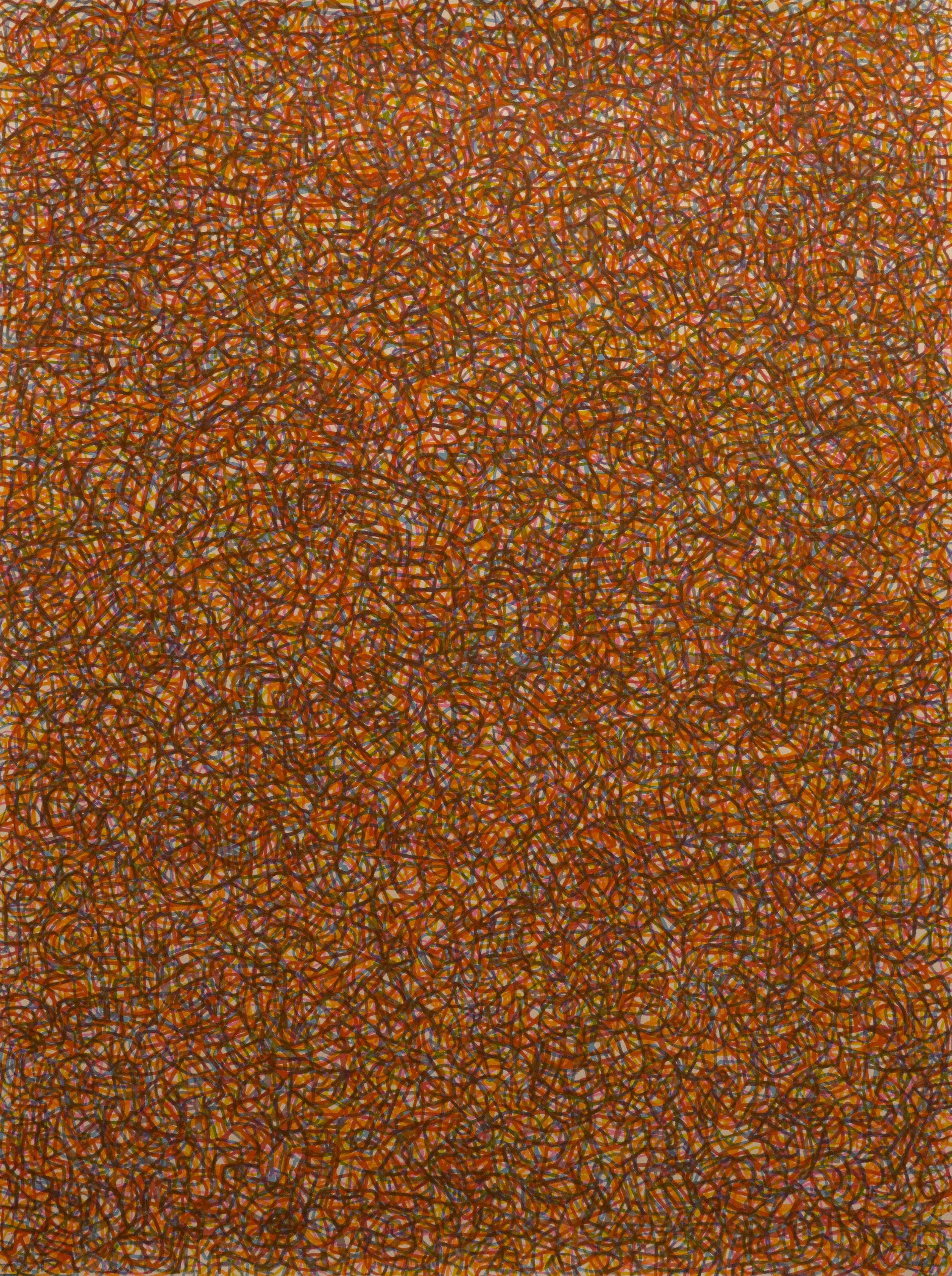 Vision Field