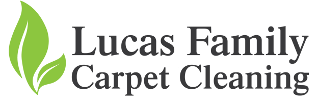Carpet Cleaning Minneapolis MN | Lucas Family Carpet Cleaning
