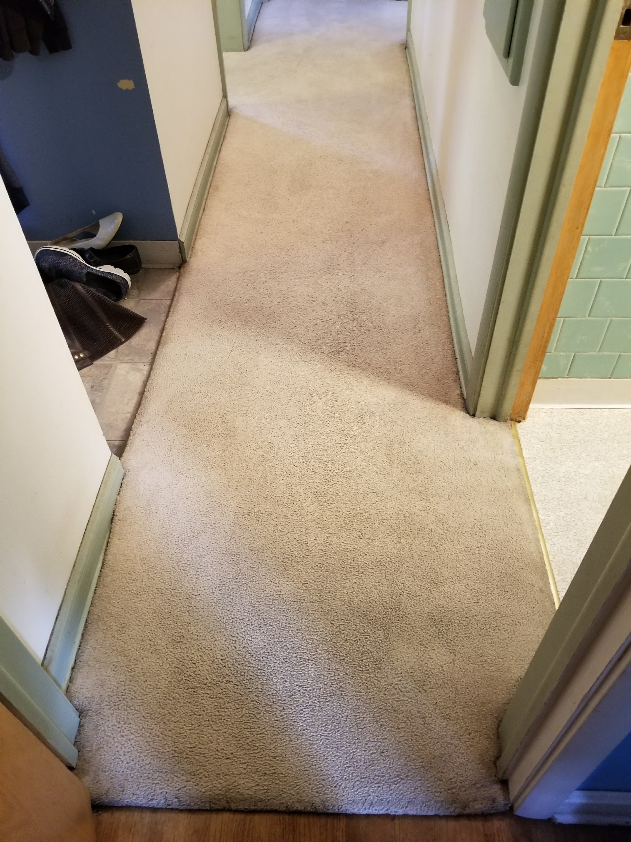 Columbia Heights Carpet Cleaning