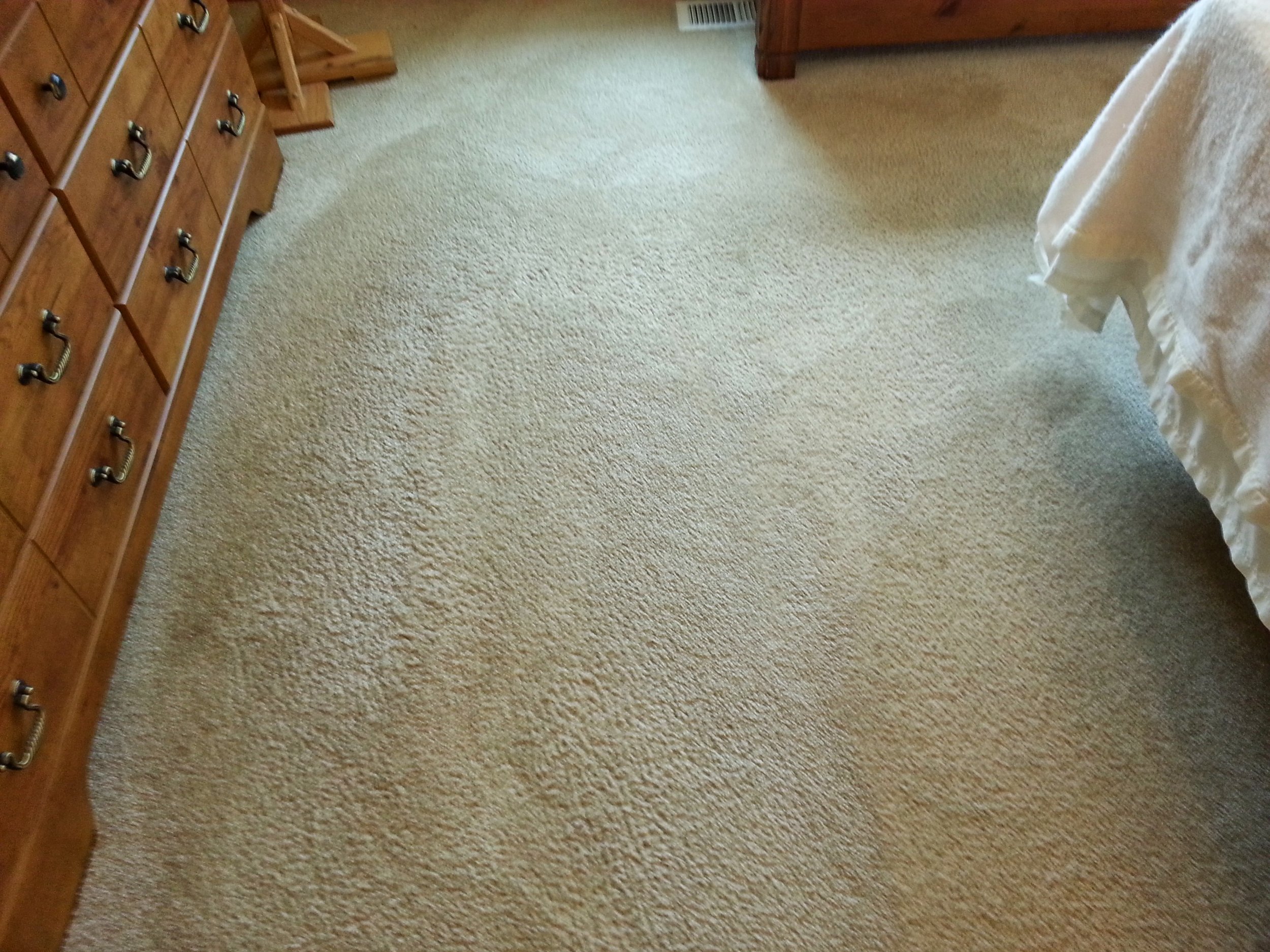 Carpet Cleaning Columbia Heights