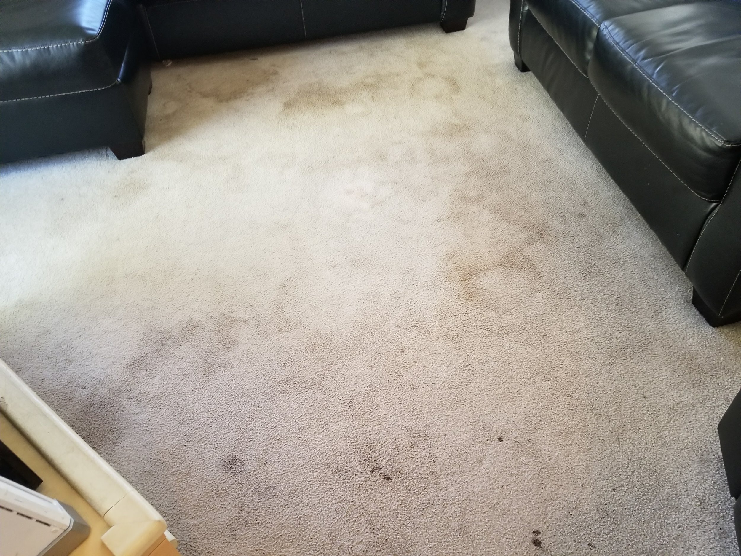 Carpet Cleaning Columbia Heights