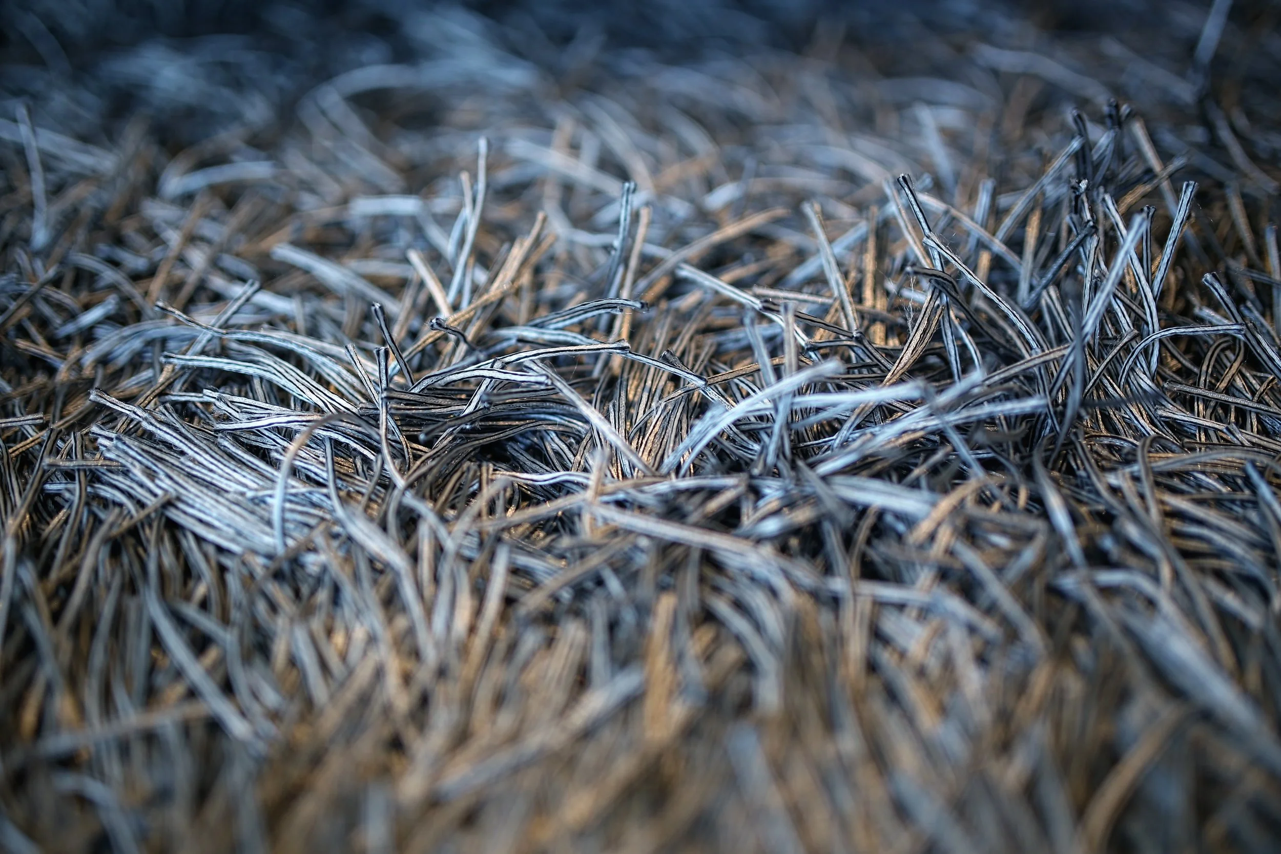 Types of Carpets and Why they Need Minneapolis Carpet Cleaning