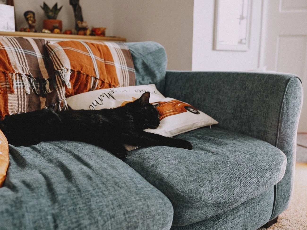 Durable couch materials upholstery cleaning Minneapolis MN