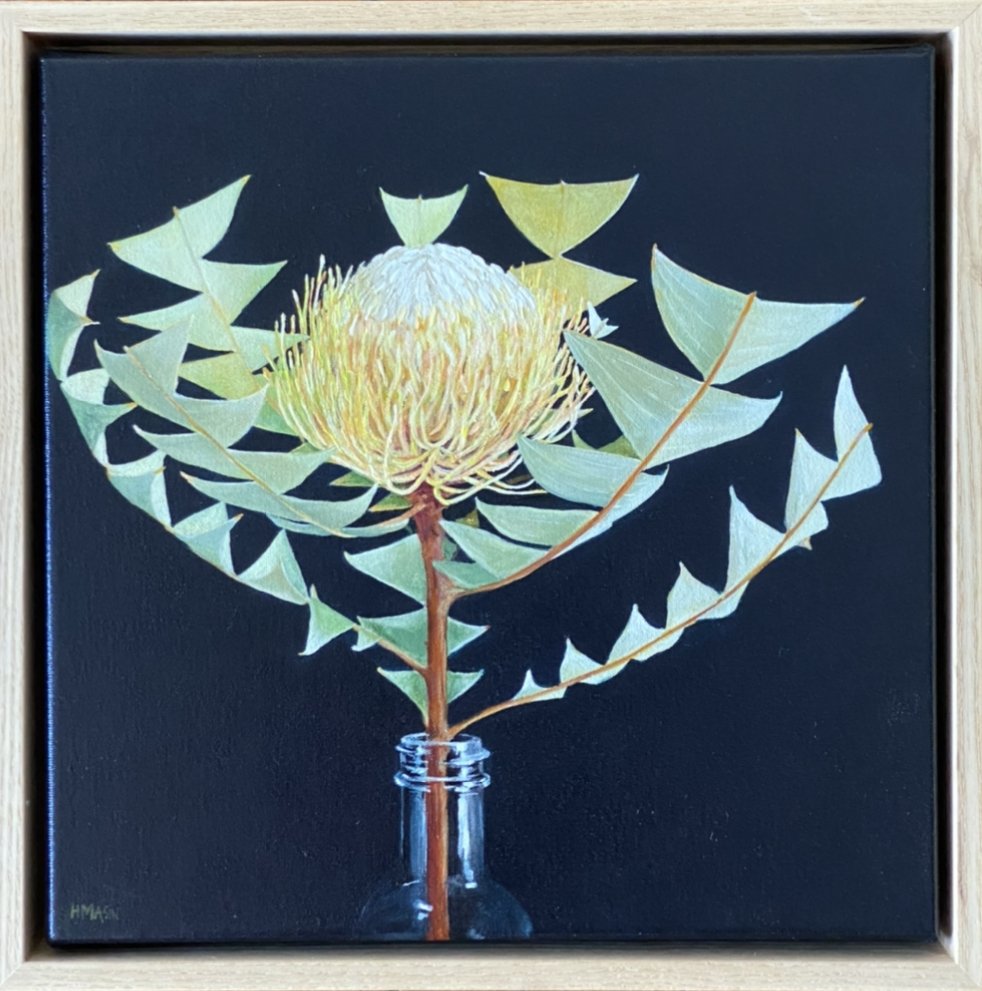 HELEN HEYWOOD Banksia Baxteri 30x30cm framed acrylic on canvas WAS $850 now $650