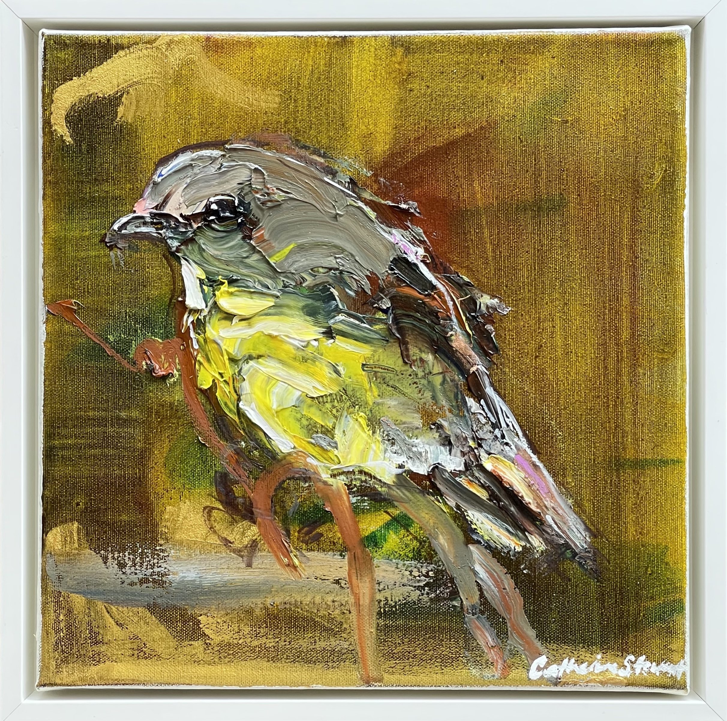 CATHERINE STEWART Eastern Yellow Robin 30x30cm framed oil on linen $695