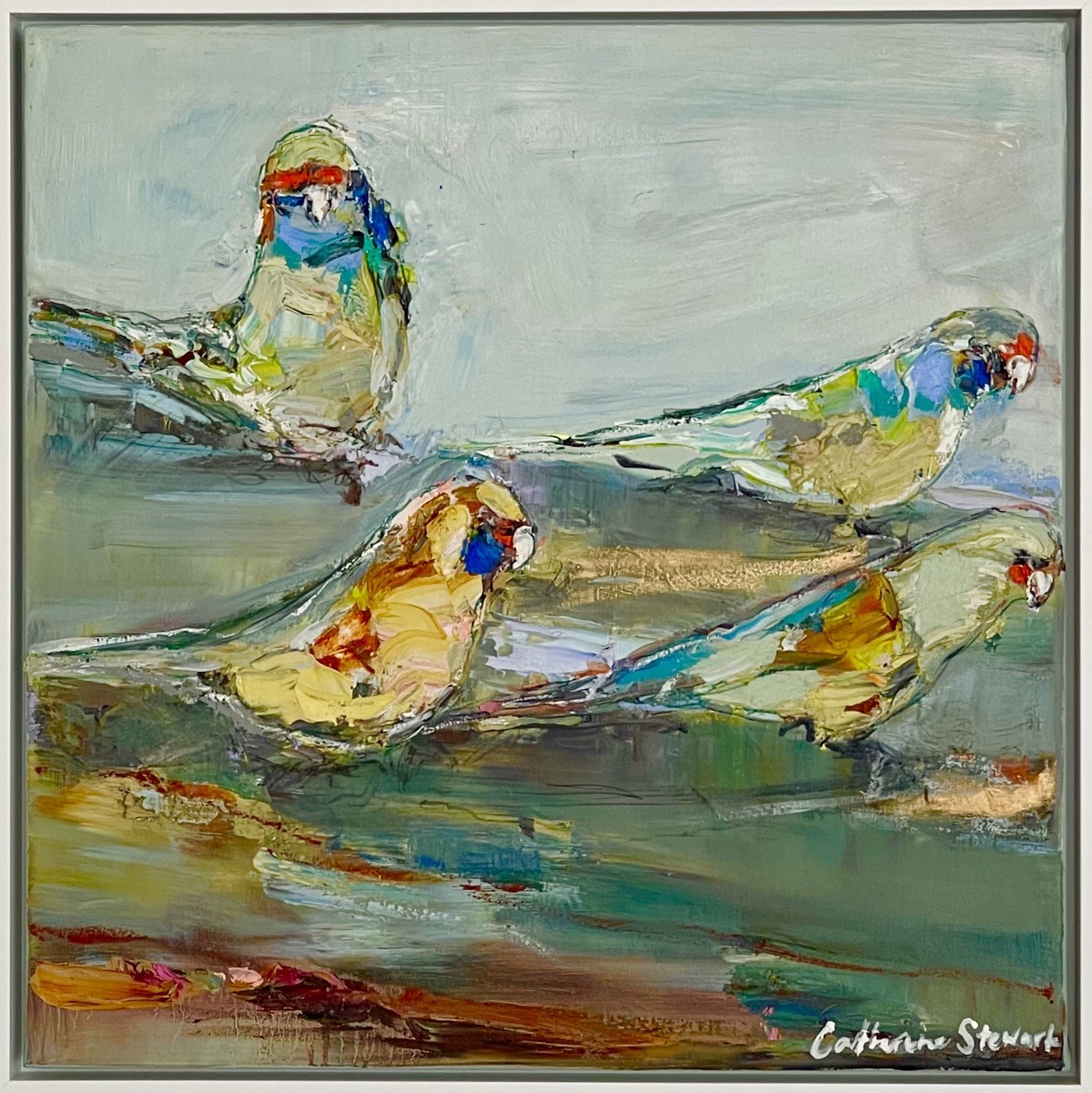 CATHERINE STEWART Parrots on Dusk 50x50cm framed oil on linen $800