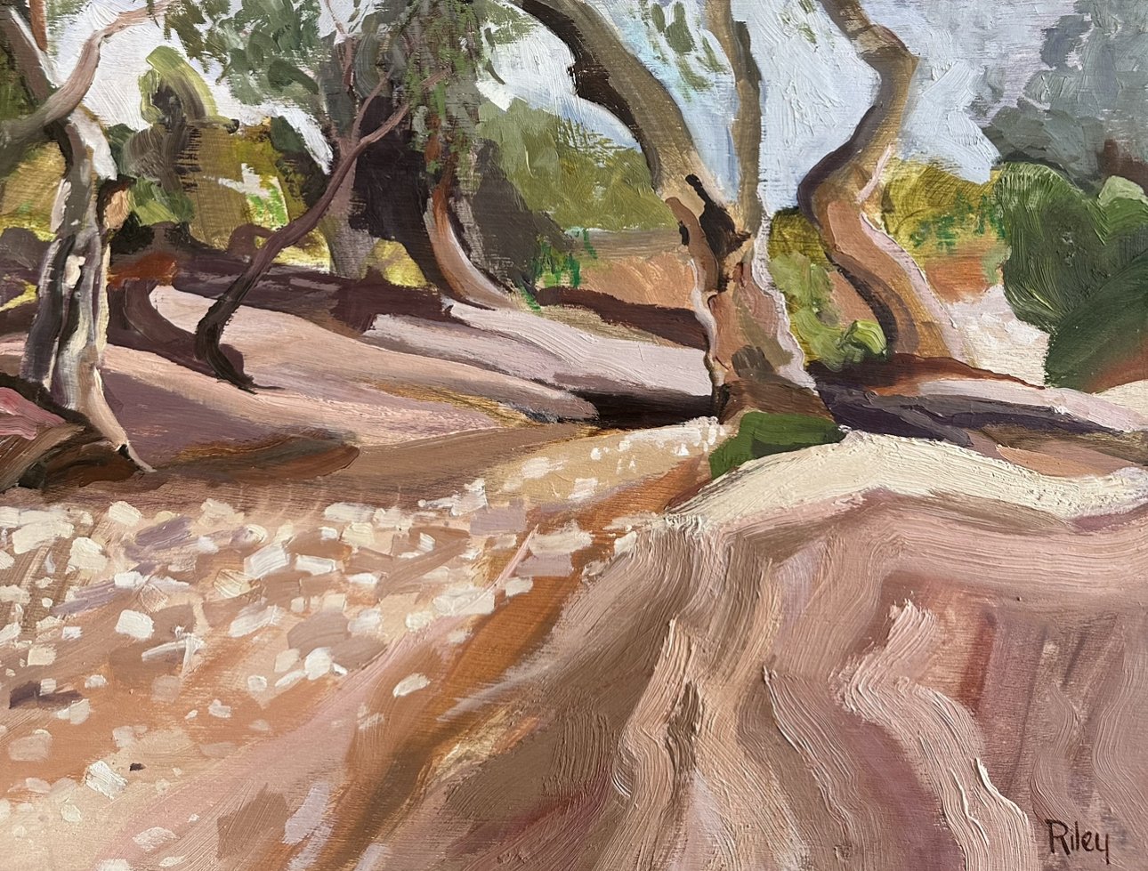 SUZIE RILEY Creek Bed 33 x 44 cm framed oil on board $1500