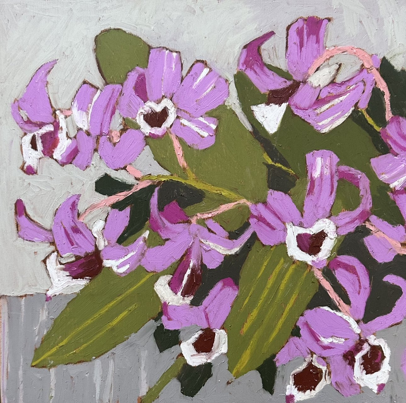 NICOLA WOODCOCK Dendrobium 28 x 28 cm framed oil pastel on board $495