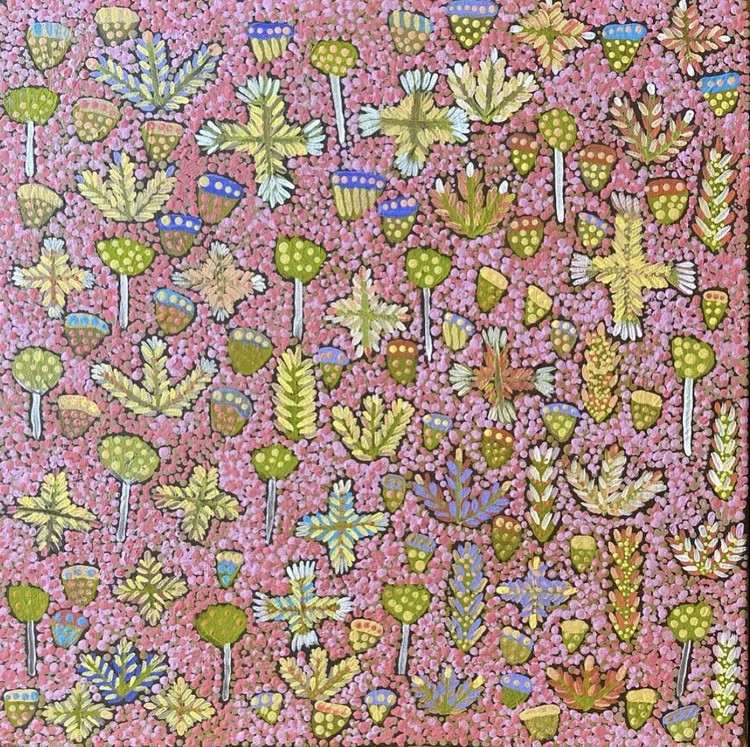 DANIELLE NGWARRAYE TURNER Bush Medicine Plants