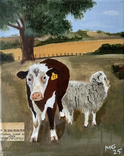 Hereford And Ewe