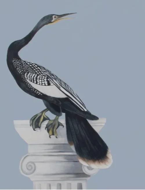 TANIA MASON - A Loon On A Plinth