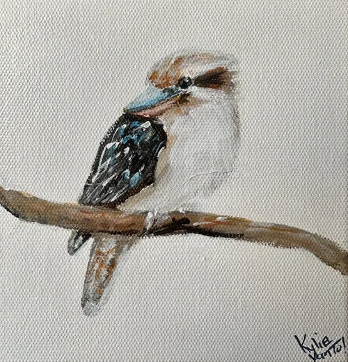 KYLIE VAN tol - Kookaburra