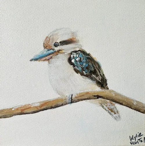 KYLIE VAN tol - Kookaburra