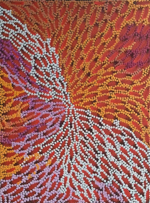 DRUSILLA NANGALA SPENCER - Seed Dreaming