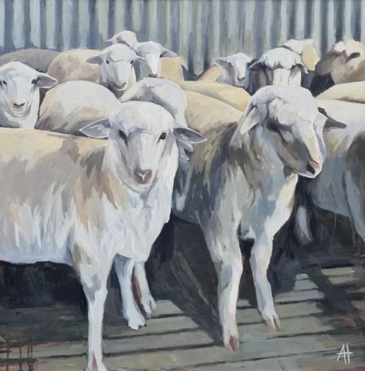 ALICE TILLEY Side By Side 82 × 82 cm framed oil on board $2500