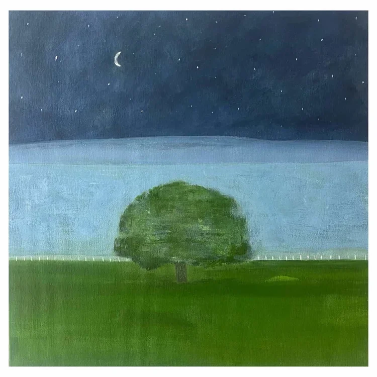KIRSTY DAVIDSON Half Moon Over The Lake 41 × 41 cm framed acrylic on canvas $1100