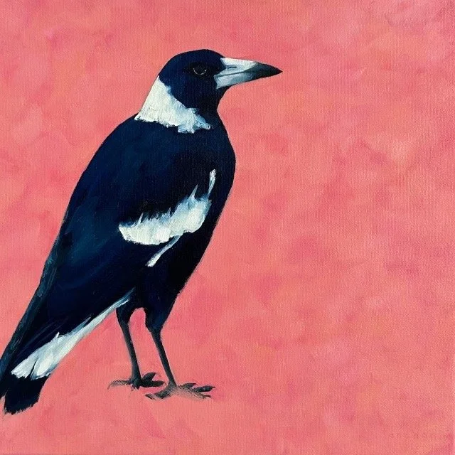 YANI LENEHAN Magpie On Blush 33× 33cm framed oil on canvas $550