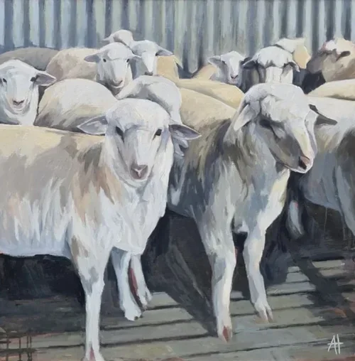 Side By Side 82 × 82 cm framed oil on board $2500
