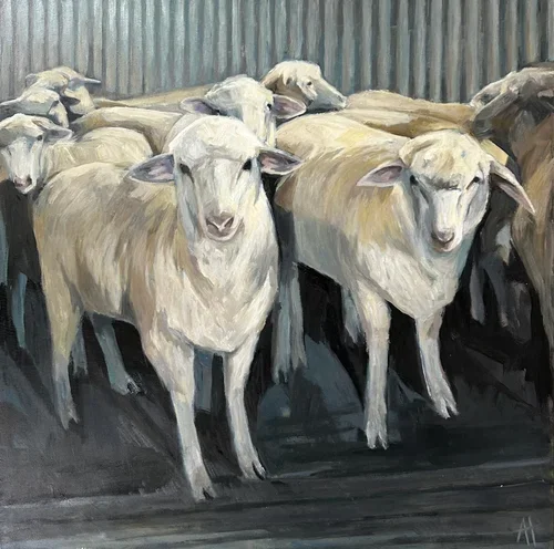 Curious 62 × 62 cm framed oil on board $1600