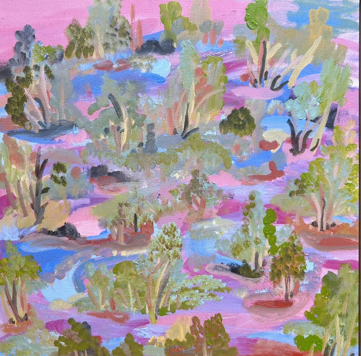 ELIZABETH NGWARRAYE BONNEY Bush Tobacco 61 x 61 cm framed acrylic on linen $1900