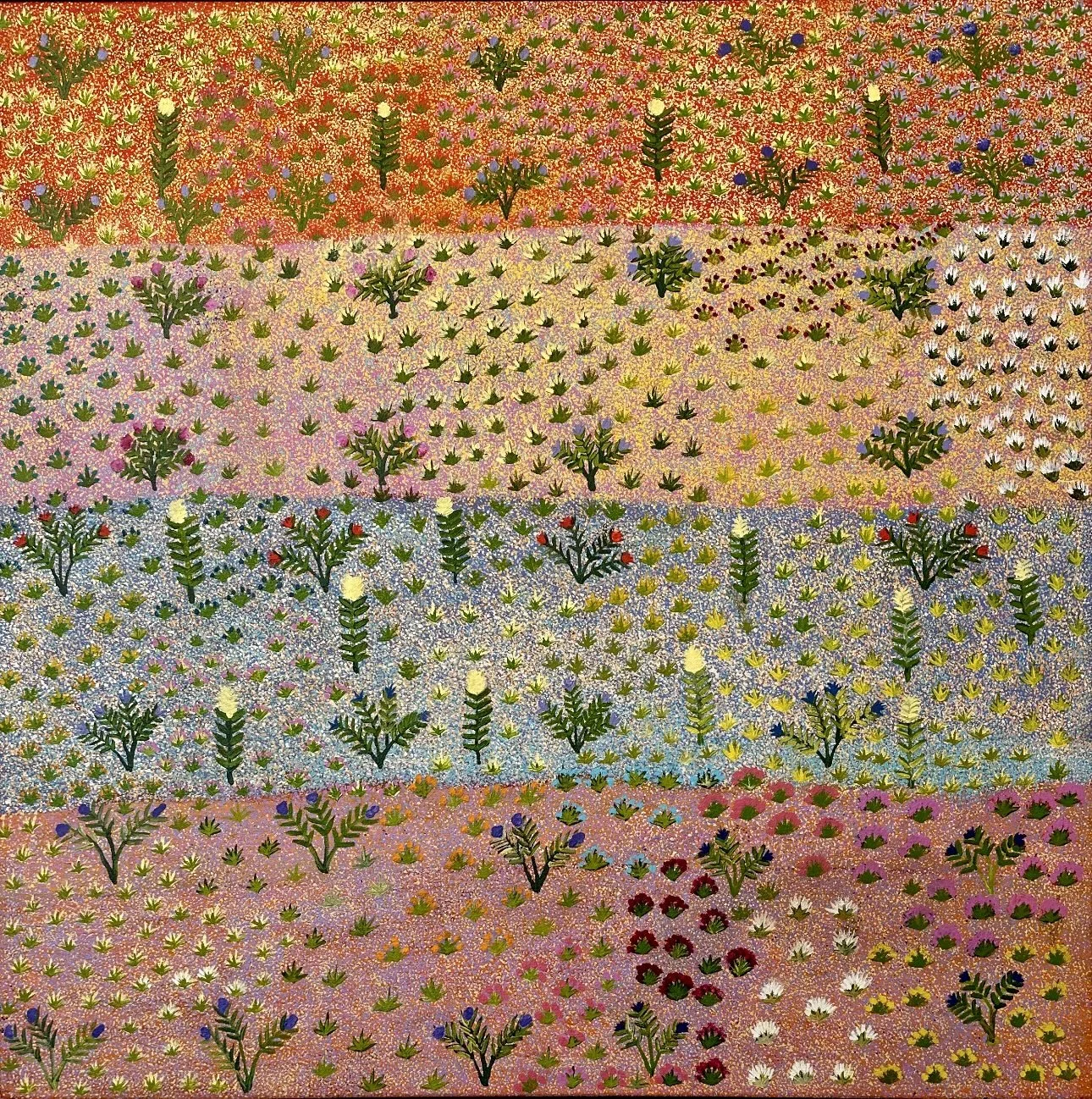 NANCY PITJARA FRANK Bush Flowers 91 x 91 cm framed acrylic on linen $3900