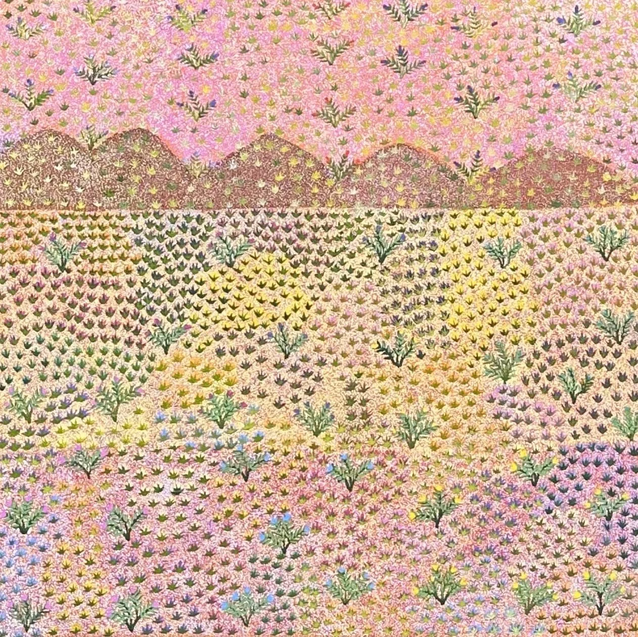 NANCY PITJARA FRANK  Bush Flowers 91 x 91 cm framed. acrylic on linen $3900