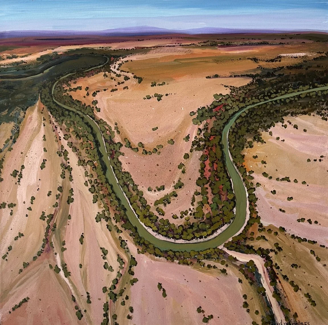 Out And About Near Wagga 100 x 100 cm framed acrylic on canvas $3900