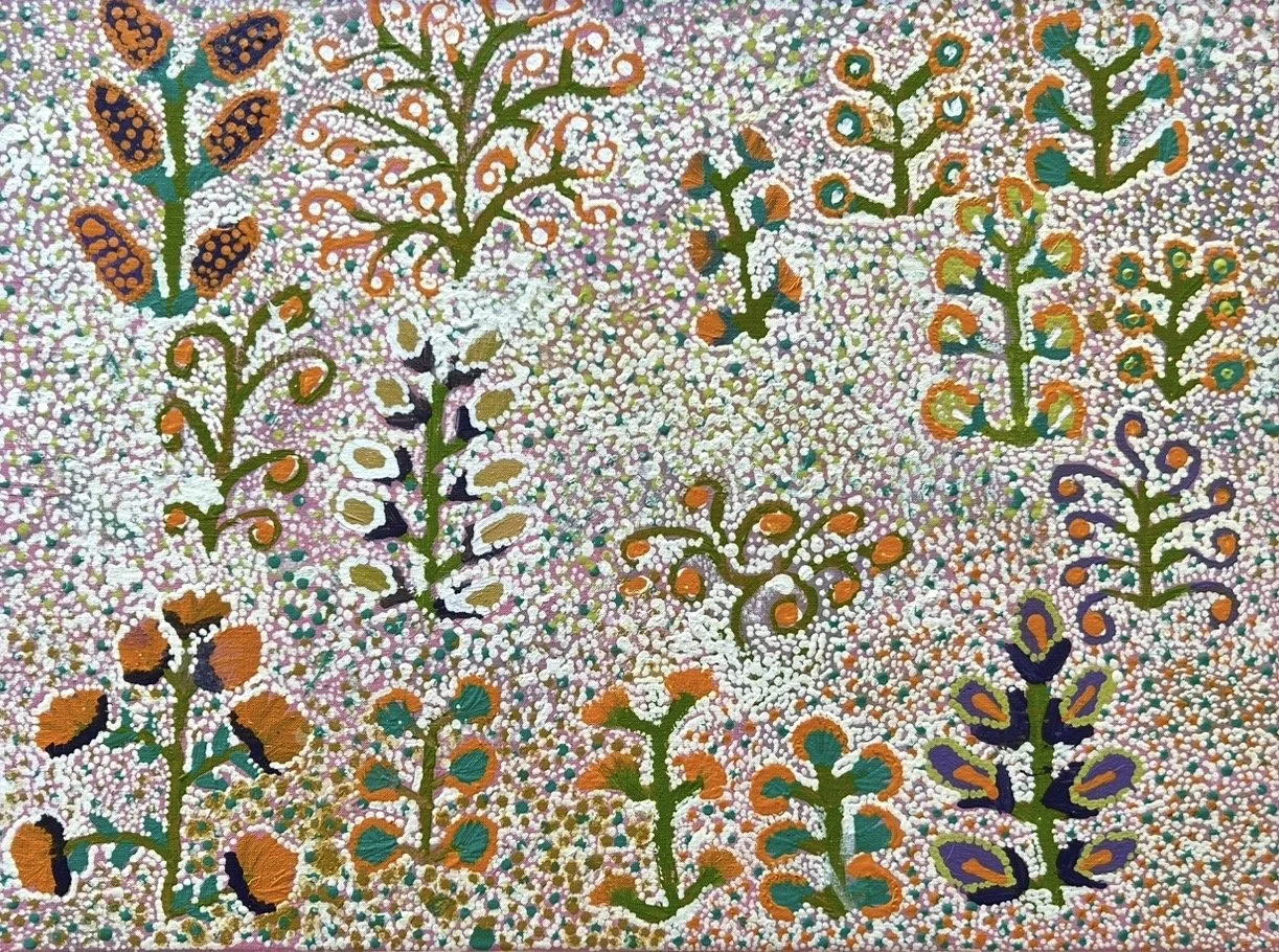 SANDRA PULA TEECE (ampilatwatja)  Bush Medicine Plants 45 x 61 cm framed acrylic on linen $