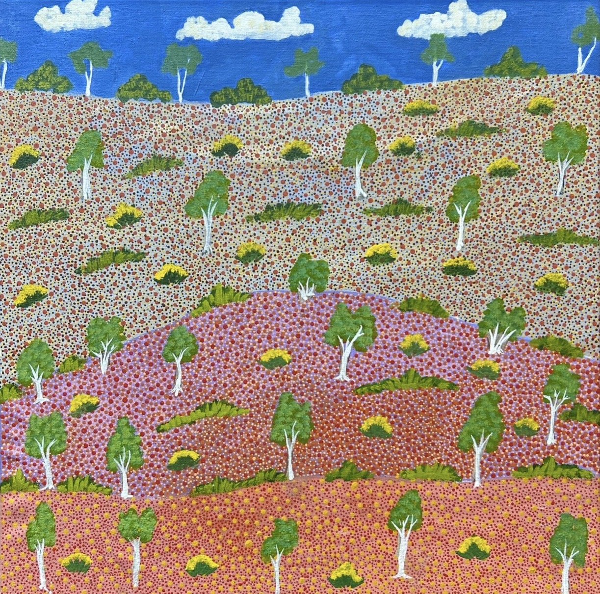ALEC PULA LEWIS  View Of Country 61 x 61 cm framed acrylic on linen $2100