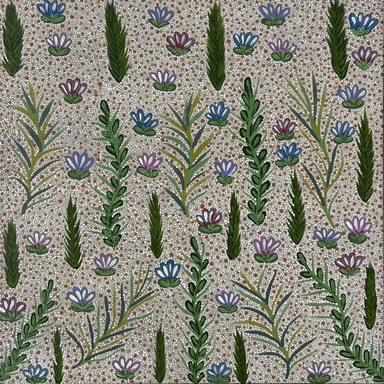 JOYANNE PITJARA MORTON Bush Medicine 61 x 61 cm framed acrylic on linen $2100
