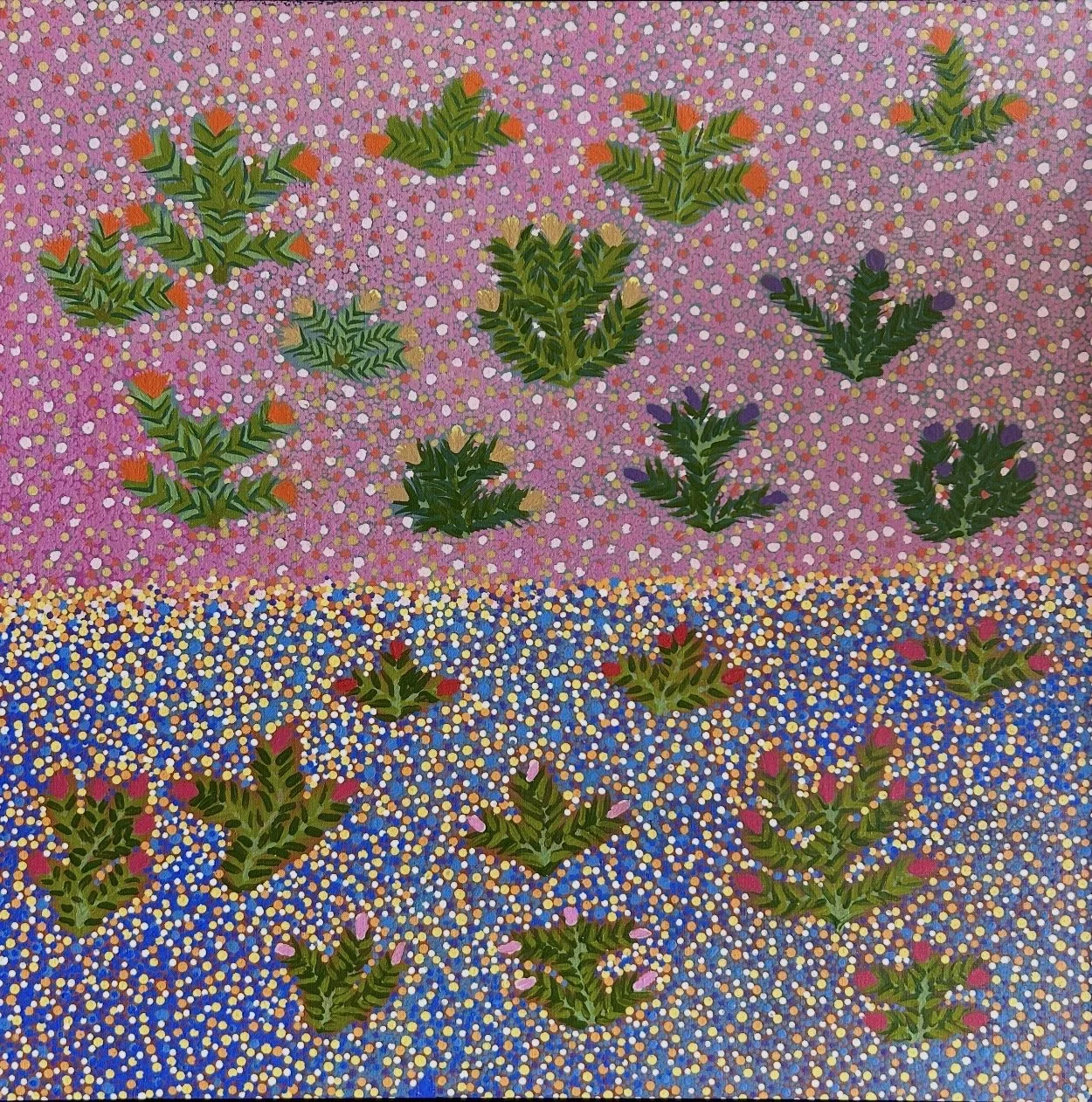 JESSIE PULA LUCK My Bush Medicine 76 x 76 cm framed acrylic on linen $2500