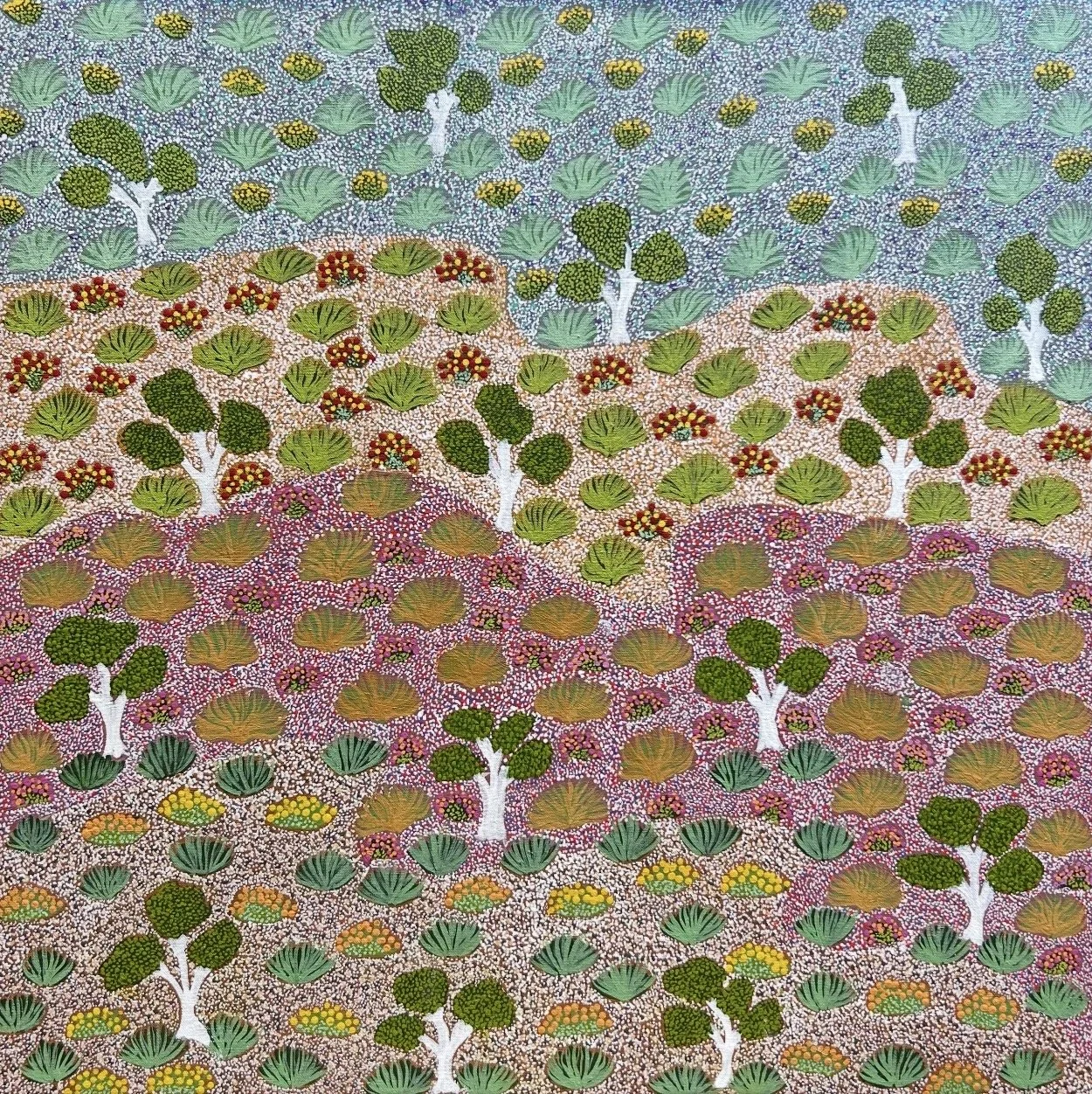 EDIE KEMARRE HOLMES Antarrengeny 76 x 76 cm framed acrylic on linen $2750