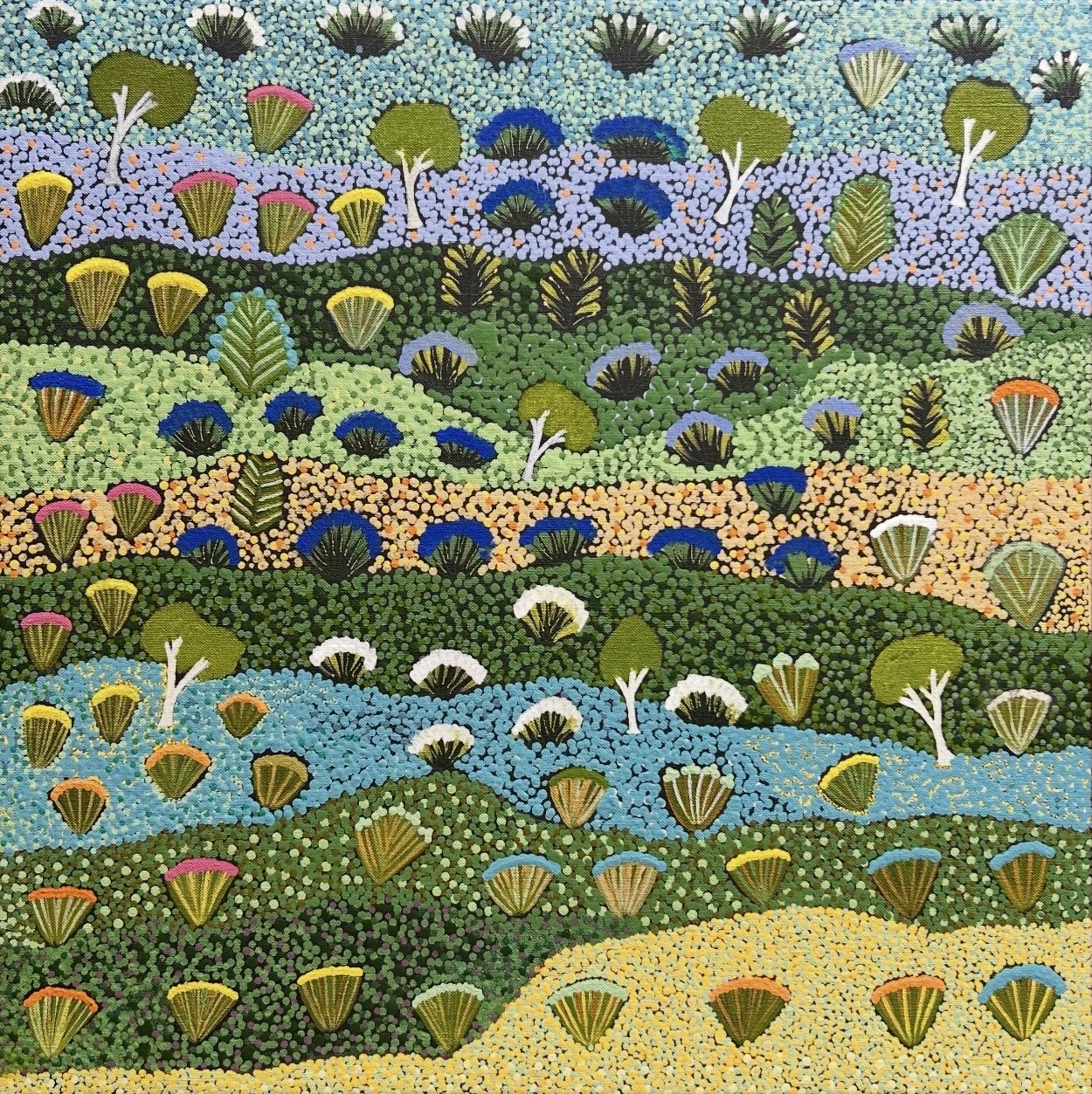 LILLY KEMARRE MORTON Antarrengeny 61 x 61 cm framed acrylic on linen $1900